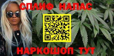 сатива Коммунар