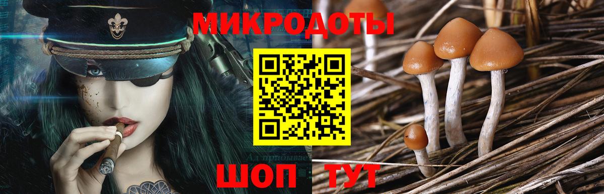 Псилоцибиновые грибы мицелий Костомукша
